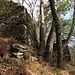 Coppia di ruderi senza nome tra Nivoia e Cruseta (circa 590 m)