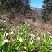 ... und bald wieder im Frühling