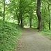 Weg im Stadtpark Hacklberg