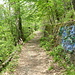Reuthholzweg oder Weg Nr. 10, der in einer Schleife um die Burgruine herum führt. Leider haben sich an der alten Steinmauer Schmierfinken ein "Denkmal" gesetzt.