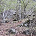 si sale a monte dello splugo
