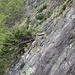 passaggio delicato