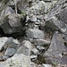 scaletta nella giavina della Ciòssa