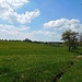 Zwischen Schönbronn und dem Rottal,<br />Im Hintergrund die Hohe Brach, dem höchsten Punkt im Naturpark Schwäbisch-Fränkischer-Wald.