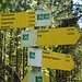 Die Rundtour ist mit dem Symbol "Idyllische Straße, Rundweg E" bezeichnet