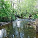 Die Rot, ein Nebenfluss des Kochers