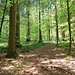 Unterwegs auf dem Limes-Wanderweg nach Grab