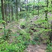 Unterwegs auf dem Limes-Wanderweg nach Grab