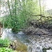 Die Rot, ein Nebenfluss des Kochers