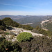 Monte Oro - Blick über typische Vegetation im Gipfelbereich. 