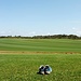 5° Tappa - Verso Almograve - Qui immense coltivazioni di erba da prato, per giardini, campi da golf, ecc..... Un piacere camminarci sopra scalzi!!!!