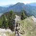 Vom Brunnberg-Gipfel (1529 m) sind die beiden hinter uns liegenden bewaldeten Rappenköpfe zu sehen. Sogar die Kofelspitze ragt ein winziges Stück hervor.