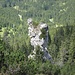 hübsche Felsnadel ragt aus dem Wald der N-Flanke des Sonnenbergs
