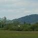 Vor dem Hemsberg fliegt ein Storch auf.