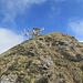 Corno di Gesero, 2227 m (soit exactement la même altitude que le Camoghè depuis les nouvelles mesures). On peut monter sur le toit de la structure.