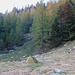 A l'écart du sentier du Camoghè, la grande cuvette du Vedeggio, au pied de la montagne, est idéale pour un bivouac.