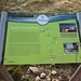 ... zum Scheibenfelsen - mit Infotafel ...