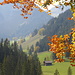 Letzter Blick zurück durch den herbstlichen Meielsgrund zu Mülleners Vorschess