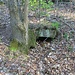 Eine hineingewachsene Wurzel weist auf ein altes Bauwerk hin: Kanal oder Rösche