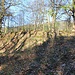 Alles ist möglich: Haldenschüttung/Lesesteinwall/Gebäuderest