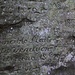 Meissengrundloch, Stein mit Inschriften, das soll französisch sein (Unübertrefflicher Meister des Wildbrets?), kann das wer bestätigen?