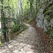 Zuerst auf breiten Feld- und Waldwegen.