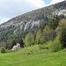 Schöner Jurakalk.
