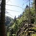 Am Holzschlagrank (692 m) sieht man in den Nonnenbachtobel runter