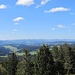Schöne Aussicht in den Hochschwarzwald