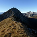 Auf sonnigem Weidegelände zum düster aufragenden Gros Van NE-Grat: rechts Les Cornettes de Bise und Tour de Mayen, links die Dents du Midi und das Massif du Mont Blanc
