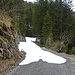 Still some snow on the forest road below Gruebi.