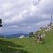 Le sommet des Aiguilles de Baulmes et le Mont d'Or