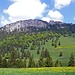 Le sommet