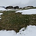 Ein Blick zurück zum bestiegenen Alp-Sigel-Gipfel