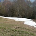 der letzte Schnee am Schnebelhorn