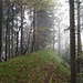 Mystische Stimmung im Abstieg unter dem Helenachappeli