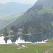 Seealpsee und Forelle