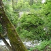 Beim Steinenbrüggli.