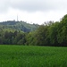 Blick zum Sendemast auf dem Chöpfli (Holzenberg).