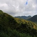 Aussicht bei Blick bei Palmiste ins Tal vom Soufrière River mit dem von Urwald bewachsenen Inselinnere. Hinten ist der Morne Bonin (640m), rechts der Vulkan Terre Blanche (640m).