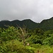 Das wäre mein Hauptgipfelziel auf Sankt Lucia gewesen. Der Mount Gimie (ganz links; 950m) ist der höchste Gipfel des kleinen unabhängigen Staates und kann mit einem lokalen Führer in einer mehrstundigen Dschungelwanderung ohne technische Schwierigkeiten bestiiegen werden. Das Foto ist von "Summitpost".
