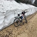 Même dans le Jura à 1300m la neige fait de la résistance 