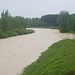 Letztens an der Ammer bei Peißenberg, trotz Meldestufe 3 ein Hochwasser ohne Folgen