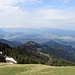 Blick in das Rheintal mit dem Alpstein und der Alvier-Gruppe im Hintergrund