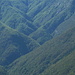 schon fast abtrakt, dieses Zickzack-Waldmuster der vielen Täler hinter Camedo. Die Landesgrenze Schweiz - Italien geht von links unten nach rechts oben mitten durchs Bild.