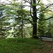Ein lauschiger Platz kurz vor der Maxhütte. Ach [http://www.hikr.org/tour/post108442.html Bänke] und ihre Aussichten...