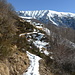 Wie eine weisse Schlange zieht der zum Glück verschneite Bergweg (hier konnte ich beim Abstieg hinuntergleiten) hinauf nach Rienza, darüber der Gratzug des Madonetto