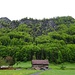 steil geht's ab Nechimatt im Wald (rechts) hoch zu den Höfen auf Diegisbalm ...