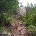 Ein wenig weiter oben, auf ca. 1400m