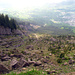 Blick vom Gnipen in das Bergsturzgebiet. 